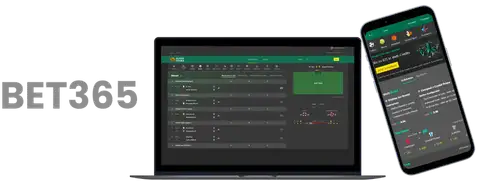 貝萊簡介,詳盡個人資,万博体育,万博体育,ManBetX,万博体育网址,万博app,万博官网,万博集团